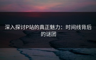 深入探讨P站的真正魅力：时间线背后的谜团