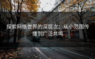 探索网络世界的深层次：从小范围传播到广泛共鸣