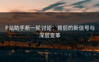 P站助手新一轮讨论：背后的新信号与深层变革