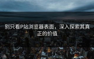 别只看P站浏览器表面，深入探索其真正的价值