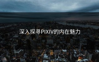 深入探寻PIXIV的内在魅力