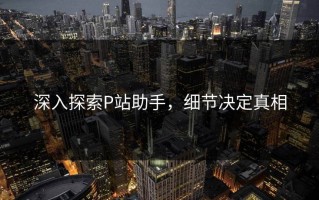 深入探索P站助手，细节决定真相