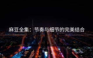麻豆全集：节奏与细节的完美结合