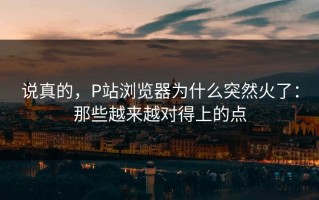 说真的，P站浏览器为什么突然火了：那些越来越对得上的点