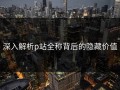 深入解析p站全称背后的隐藏价值