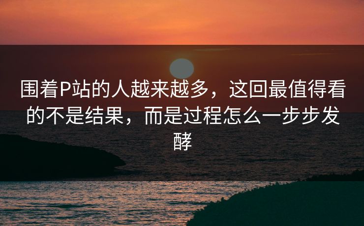 围着P站的人越来越多，这回最值得看的不是结果，而是过程怎么一步步发酵-第1张图片-p站自媒体 | p站网页版内容站
