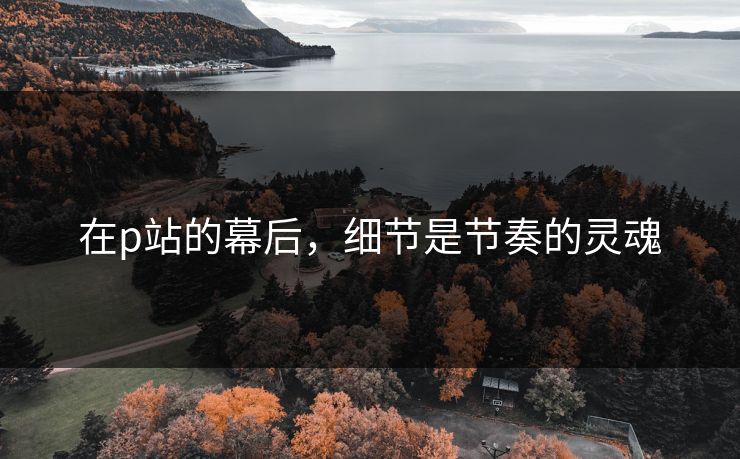 在p站的幕后，细节是节奏的灵魂-第1张图片-p站自媒体 | p站网页版内容站