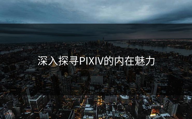 深入探寻PIXIV的内在魅力-第1张图片-p站自媒体 | p站网页版内容站
